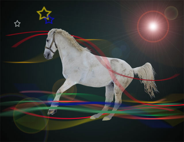 kůň-s-barevnými-efekty(PhotoshopCS3).jpg
