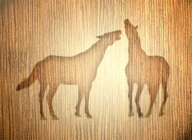 textura-dřeva-koně.jpg