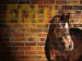 zeď-a-obraz-koně(PhotoshopCS3).jpg